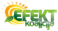 Efect koalicija