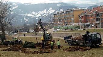 Akcija spašavanja 13 stabala