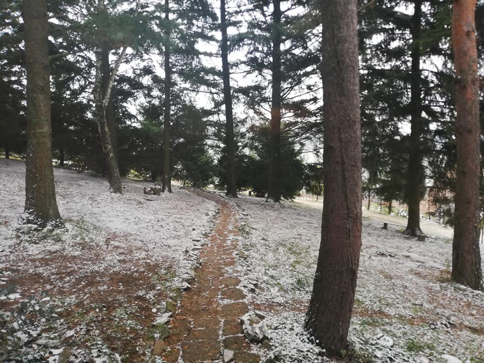 Snimak javnog predavanja o šumama i gradskom zelenilu, 19.3.2021