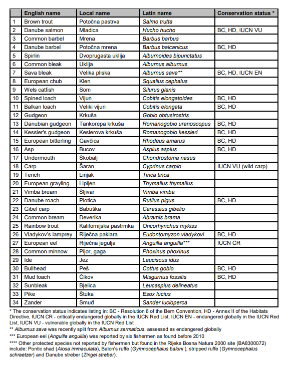 Tabela 1. Vrste riba koje su iz rijeke Bosne prijavili lokalni ribari: